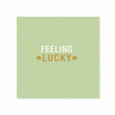 Style 27 - Webcam Covers Now