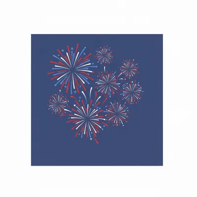 Style 2 - Webcam Covers Now