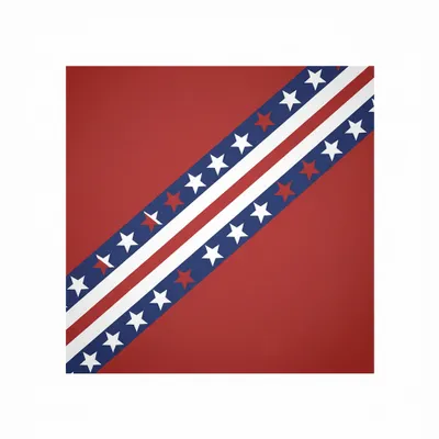 Style 3 - Webcam Covers Now