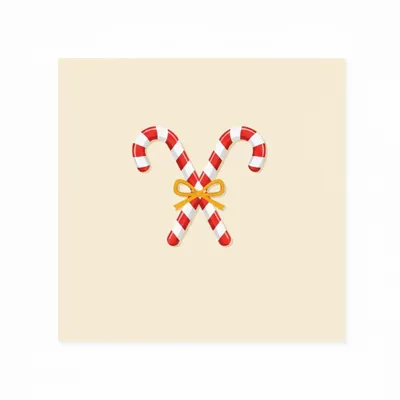 Style 4 - Webcam Covers Now