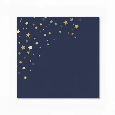 Style 3 - Webcam Covers Now