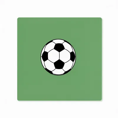 Style 1 - Webcam Covers Now