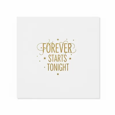 Style 11 - Webcam Covers Now