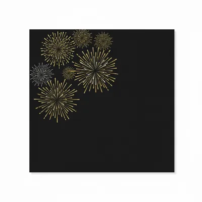 Style 1 - Webcam Covers Now