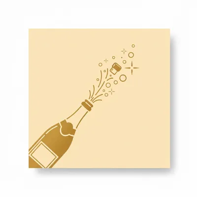 Style 4 - Webcam Covers Now