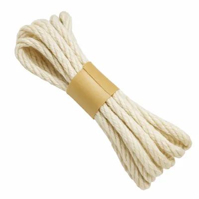 White Rope - Webcam Covers Now