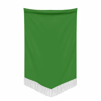 Green - Webcam Covers Now