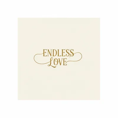 Standard - Webcam Covers Now