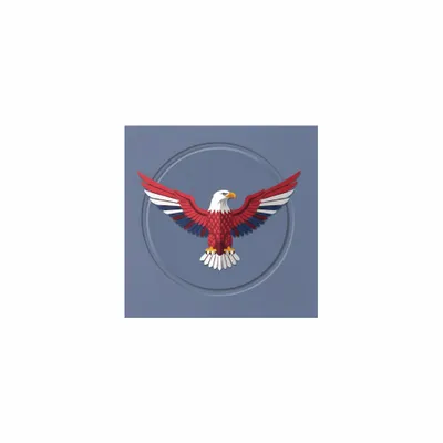 5 in x 5 in - Webcam Covers Now