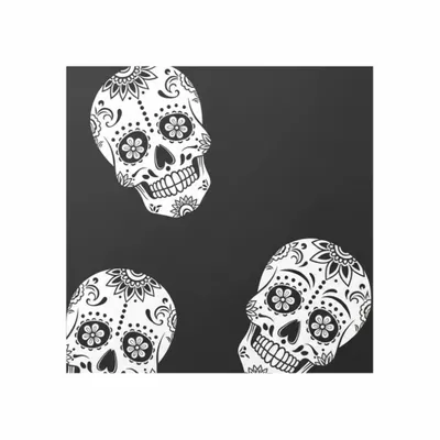 8 in x 8 in - Webcam Covers Now