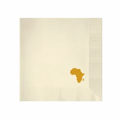 Coined - Webcam Covers Now