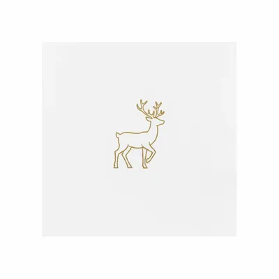 Standard - Webcam Covers Now