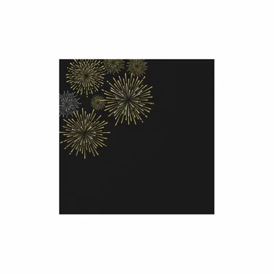 6.5 in x 6.5 in - Webcam Covers Now