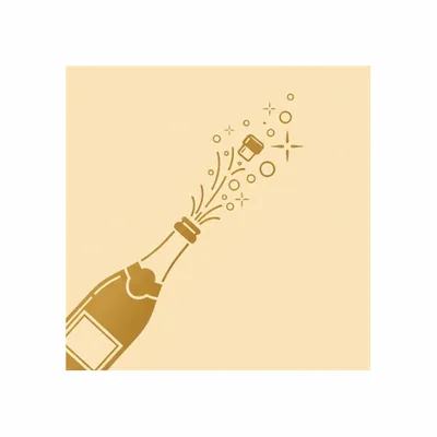 Standard - Webcam Covers Now