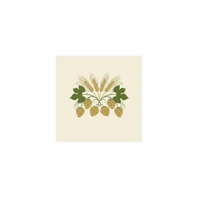 5 in x 5 in - Webcam Covers Now