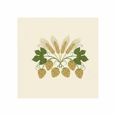 8 in x 8 in - Webcam Covers Now