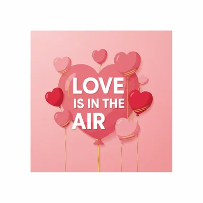 Standard - Webcam Covers Now