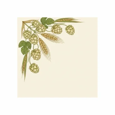 Standard - Webcam Covers Now