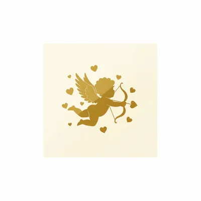 6.5 in x 6.5 in - Webcam Covers Now