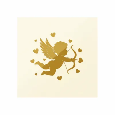 Standard - Webcam Covers Now