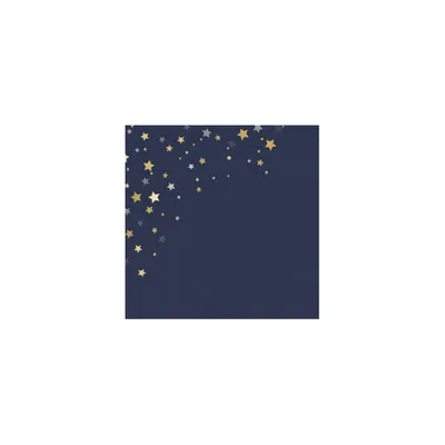 5 in x 5 in - Webcam Covers Now