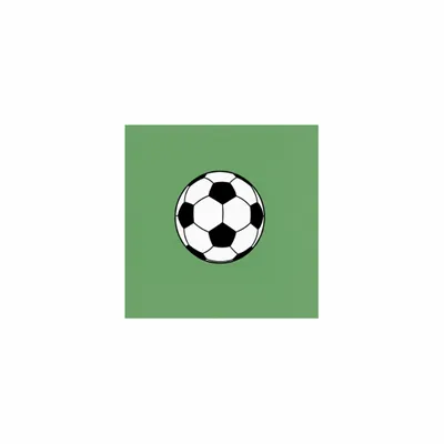 5 in x 5 in - Webcam Covers Now