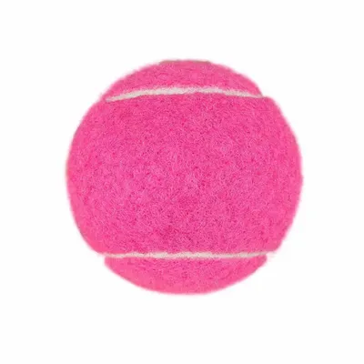 Fuchsia - Webcam Covers Now