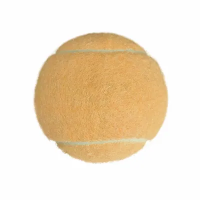 Rice Orange - Webcam Covers Now