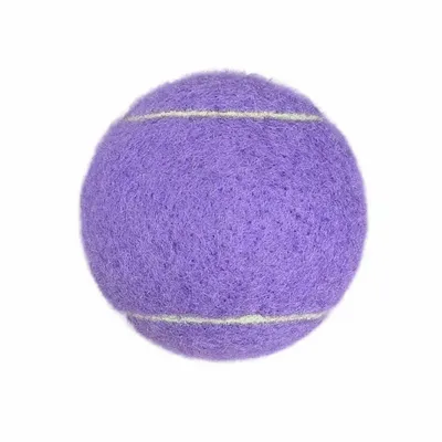 Purple - Webcam Covers Now