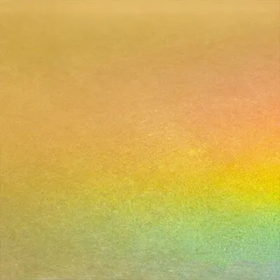 Metallic 09 - Webcam Covers Now