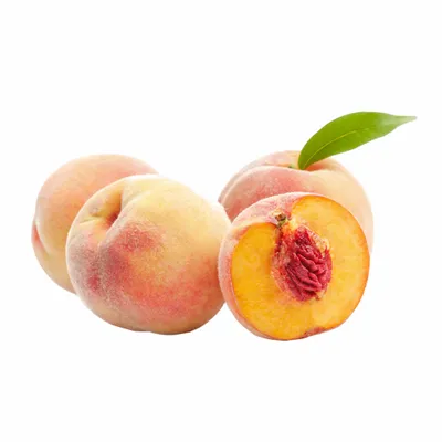 Peach - Webcam Covers Now