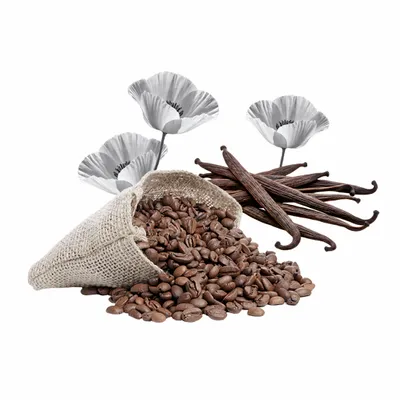 Black Opium - Webcam Covers Now