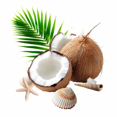 Coconut - Webcam Covers Now