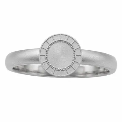 Matte Silver Plating - Webcam Covers Now