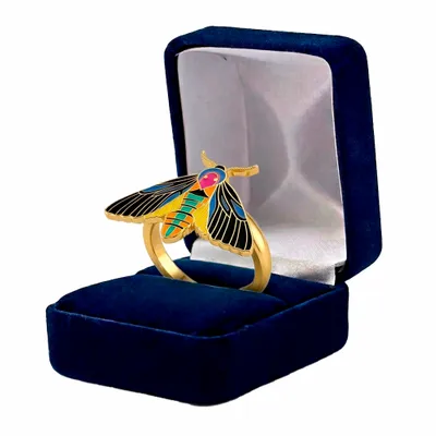 Blue Velvet Box - Webcam Covers Now