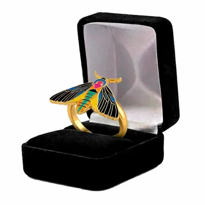 Black Velvet Box - Webcam Covers Now