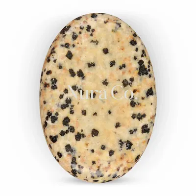Dalmatian - Webcam Covers Now