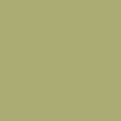 Olive Green - Webcam Covers Now