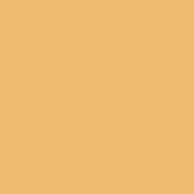 Golden - Webcam Covers Now