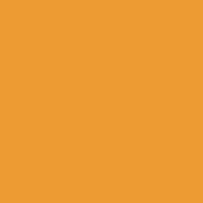 Mustard Yellow - Webcam Covers Now