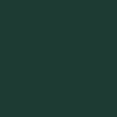 Dark Green - Webcam Covers Now
