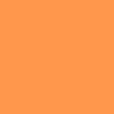 Orange - Webcam Covers Now