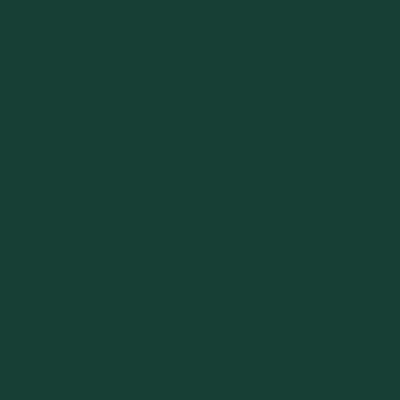 Forest Green - Webcam Covers Now