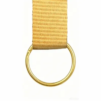 Metal Ring-Gold - Webcam Covers Now