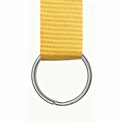 Metal Ring-Silver - Webcam Covers Now