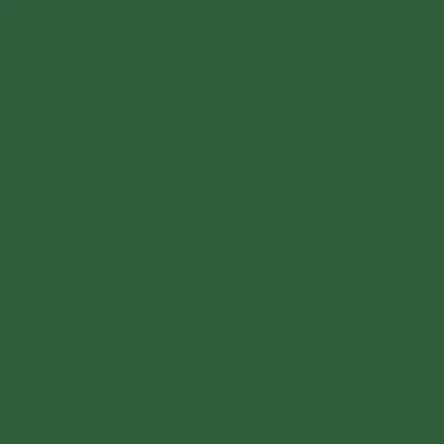 Green - Webcam Covers Now