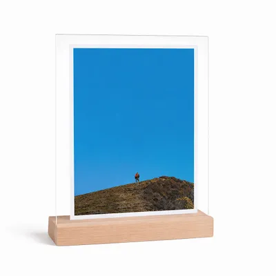 Beech Color - Webcam Covers Now