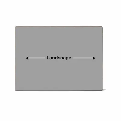 Landscape - Webcam Covers Now