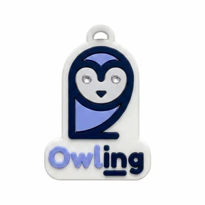 Gem Stone - Webcam Covers Now