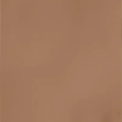 Light Brown - Webcam Covers Now
